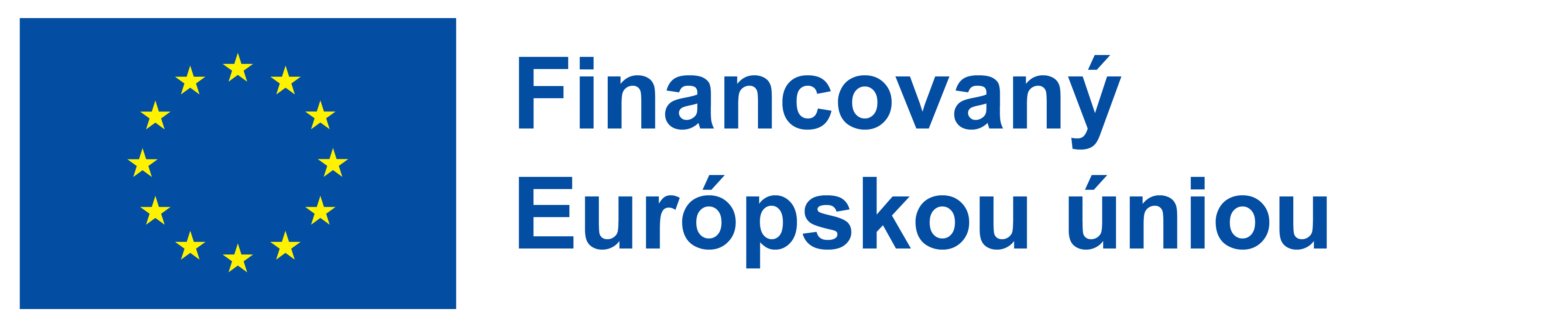 European Union Logo
